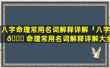 八字命理常用名词解释详解「八字 🐅 命理常用名词解释详解大全」